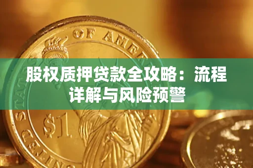 武汉股权质押贷款全攻略：流程详解与风险预警