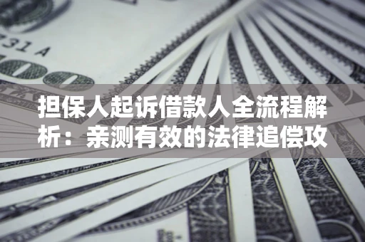 武汉担保人起诉借款人全流程解析：亲测有效的法律追偿攻略