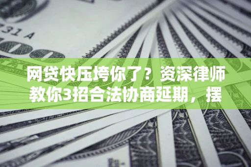 武汉网贷快压垮你了？资深律师教你3招合法协商延期，摆脱暴力催收！
