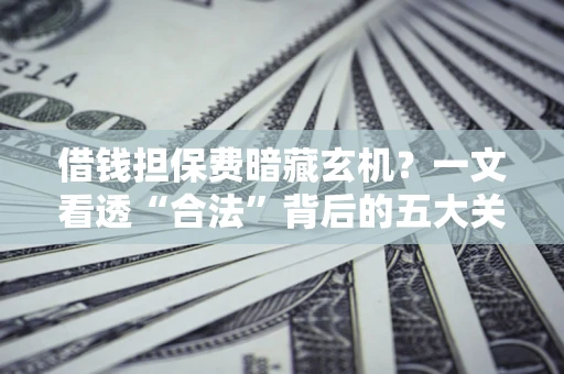 武汉借钱担保费暗藏玄机？一文看透“合法”背后的五大关键陷阱