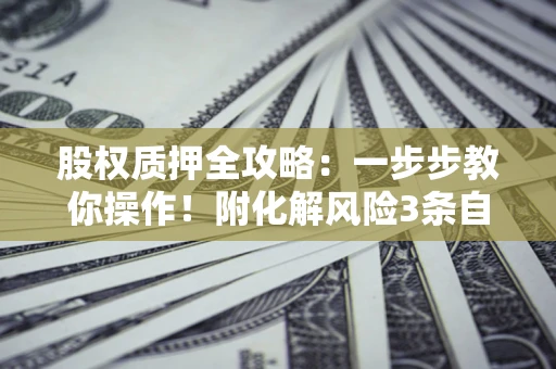 武汉股权质押全攻略：一步步教你操作！附化解风险3条自救法则