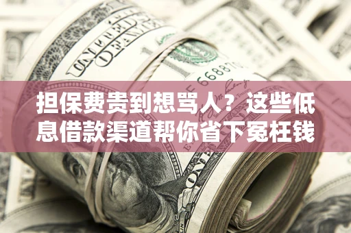 武汉担保费贵到想骂人？这些低息借款渠道帮你省下冤枉钱