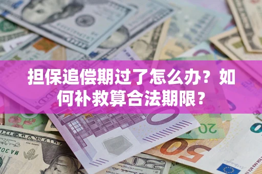 武汉担保追偿期过了怎么办？如何补救算合法期限？
