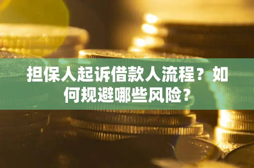 武汉担保人起诉借款人流程？如何规避哪些风险？