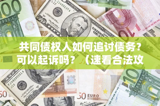 武汉共同债权人如何追讨债务？可以起诉吗？（速看合法攻略）
