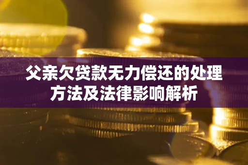 武汉父亲欠贷款无力偿还的处理方法及法律影响解析