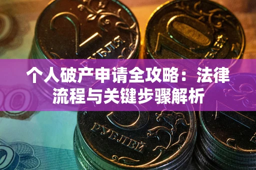武汉个人破产申请全攻略：法律流程与关键步骤解析