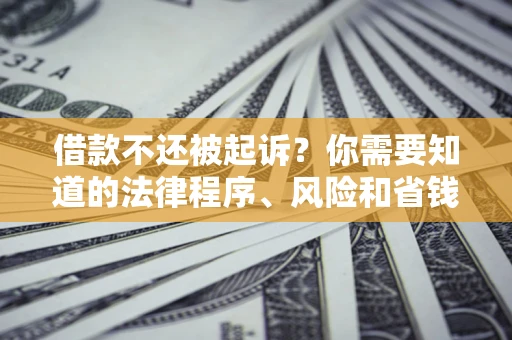 武汉借款不还被起诉？你需要知道的法律程序、风险和省钱技巧