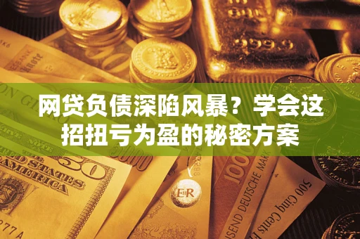 武汉网贷负债深陷风暴？学会这招扭亏为盈的秘密方案